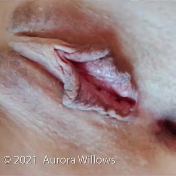 Aurora Willows: Bibir pepek besar saya yang gemuk