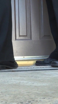 Double Anal Detectives Featuring Dana Vespoli
