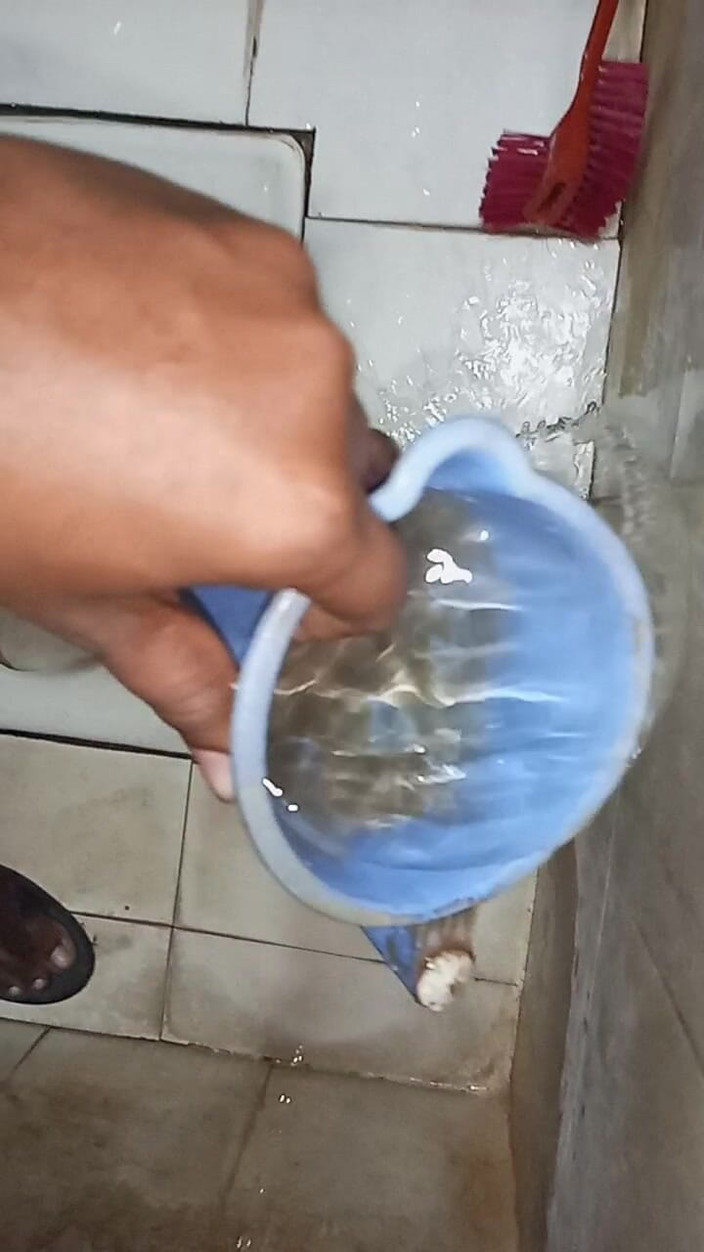 Hungry cliff: インド料理店のトイレボーイ、アナルを犯す