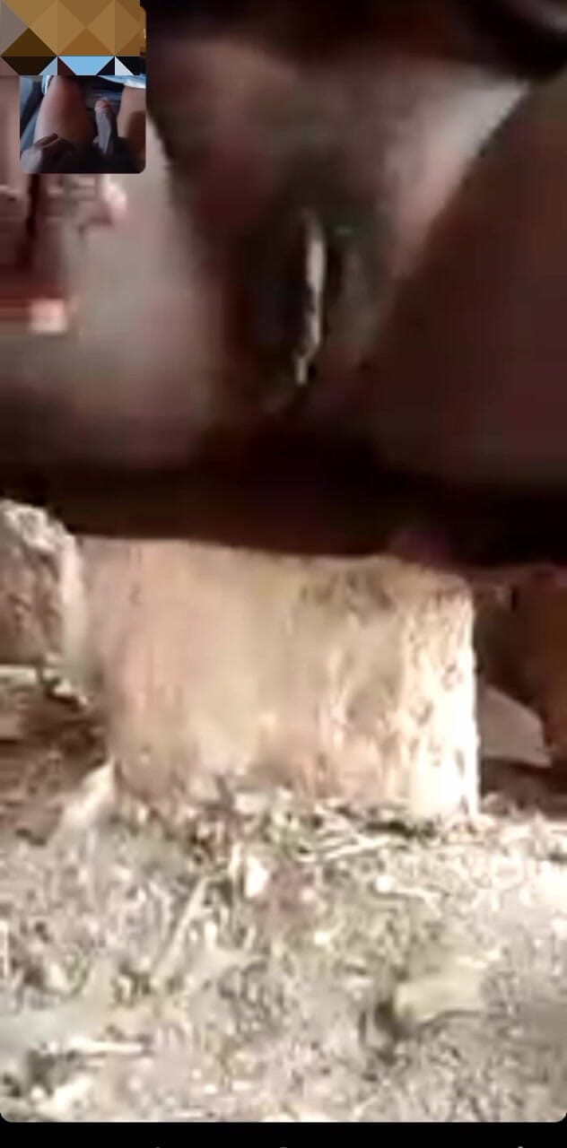 Me and my new slut: 老妇哈扎贝部落与long rabia有一个大阴户