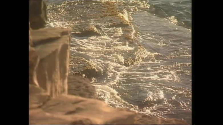 MMV TV - our best full movie: Děvky hladové po ptácích a jejich nekonečná touha po potěšení