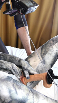 Nora Fox Wolf Zentai Encasement Machine
