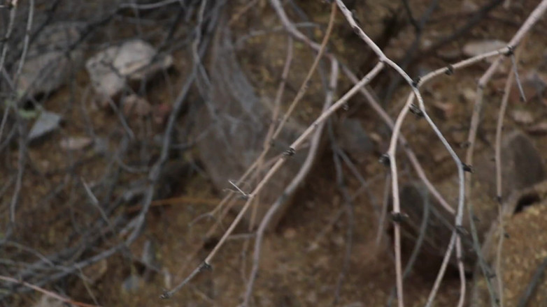 Shyla PRH: Di muka taman berkongkek dengan pancutan muka