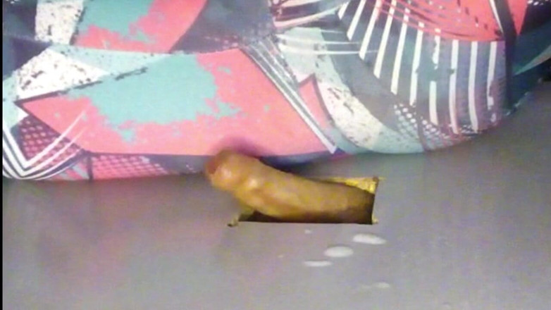 Sexoamateur: Gloryhole ręczna robota