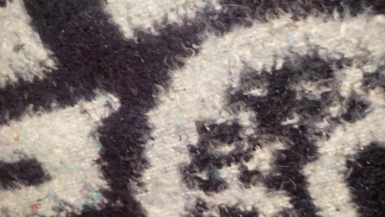 Arabic salma: Am mers la casa prietenului meu și l-am lăsat să mă...