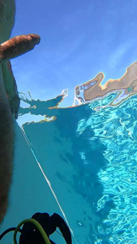 All Natural MILF Julia North Underwater Anal in the Pool