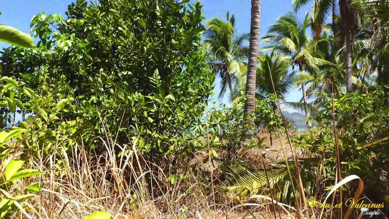 Venus et Vulcanus: Трах на пляжі незнайомцем!