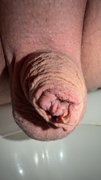 What a Cute Little Peeing Penis