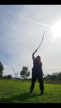 Some Bullwhip Practice in the Park