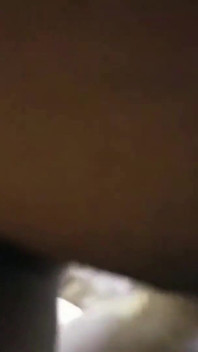 Asian Angel 24024