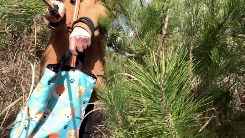 megu2002: Auto-entrenamiento No. 79 Explorando un cierto punto de crucero famoso