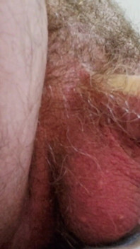 Treinador Karl's Balls for You