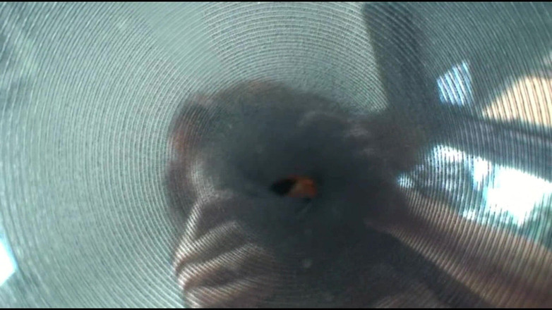 Ella Kross: Aku terjebak di dalam nilonku yang berkeringat