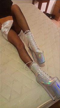 Total Silver and Fishnet Pantyhose