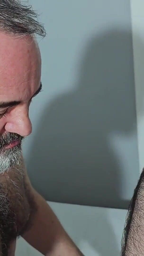 One Loboiberico for 2 Bears (Marko Bulto)