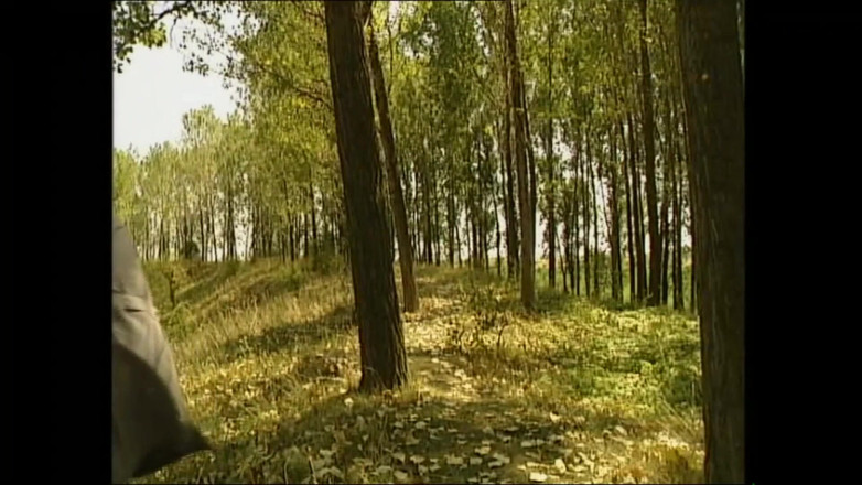 MMV TV - our best full movie: ラフな後背位スタイルを懇願する飽くなき売春婦 (完全なポルノ映画)