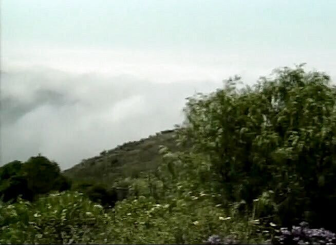 Public Lust: Neodolatelná blonďatá holka je venku análně ošukaná