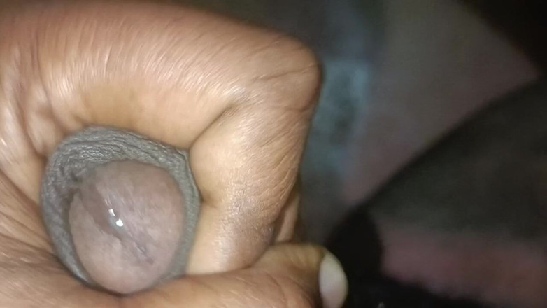 LegalVector8: Futai indian hindi