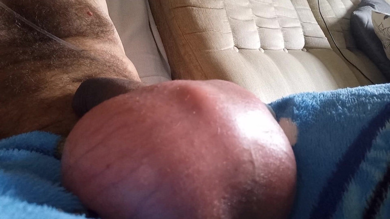 Lion big balls: Balls Saline