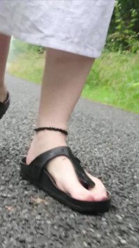 Sosny Górskie Birkenstock Bawią Się W Kałuży Deszczowej