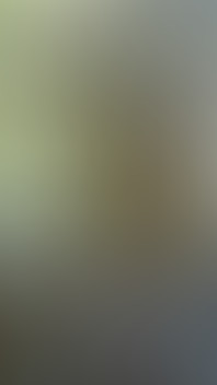 Steamy Yellow Bird