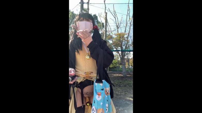 megu2002: Instrucțiuni de la antrenorul nr. 12 expunere plimbare în parcul sportiv