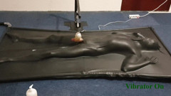NL Milking: Milked by controlled vibrator in vacbed