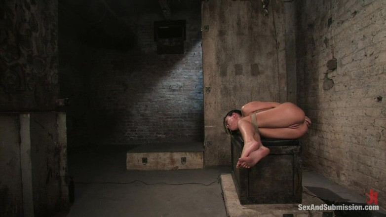 Sex and Submission by Kink: Holly Wellin - 性爱和顺从由kink制作的