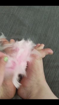 My Soft Soles