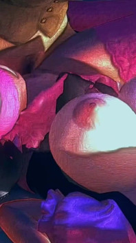 Video divertenti 61