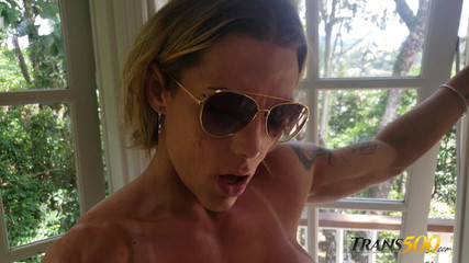 Trans 500: Forever Ms.ferraz