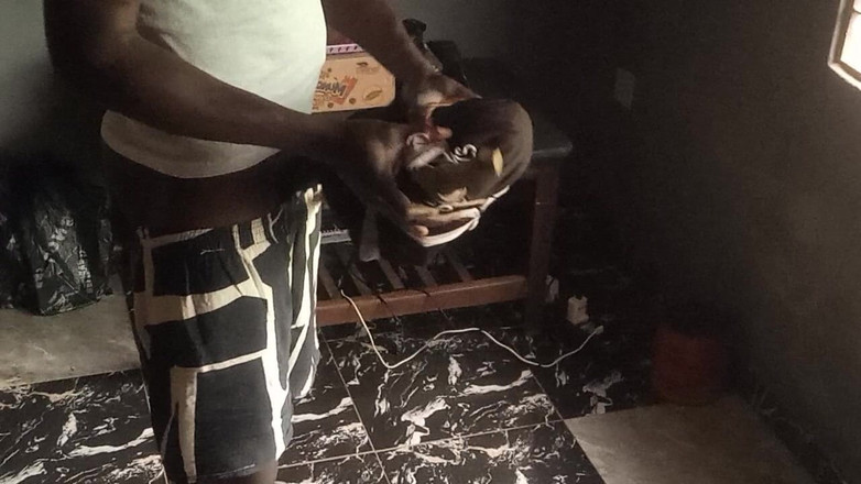 Moviesporn1: 이 형제는 여자를 초대하지 않고 정액을 싸게 해