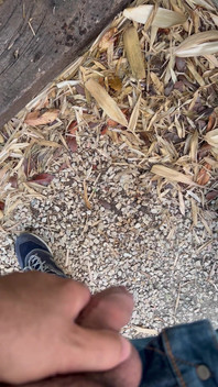 Peeing in the Garden