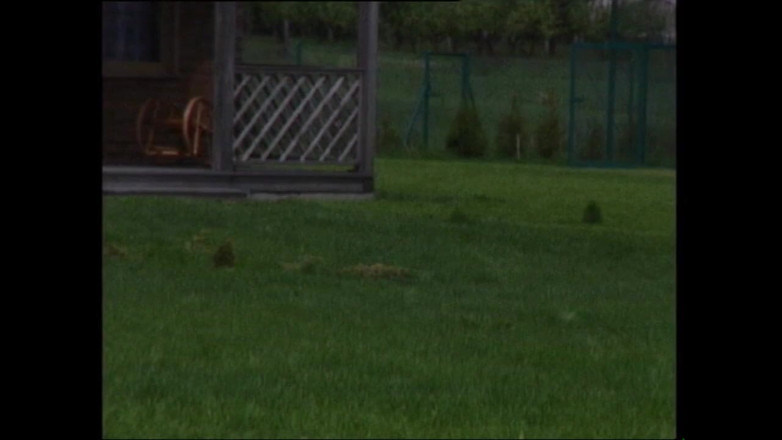 MUSCHI TV - our best full movie: Pussy Everywhere