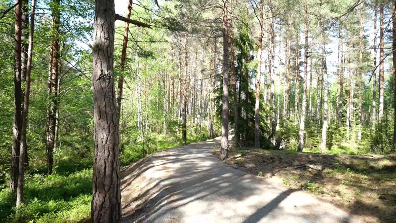 Eronordic: MILF com seios grandes na floresta