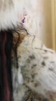Ich trage einen wunderschönen neuen Lynx-Pelzmantel und ficke mit Squirt