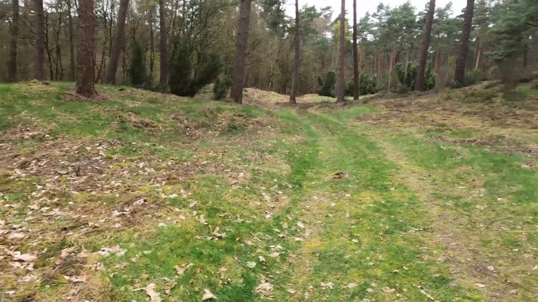 Bikergirl_97: Moje první venkovní šukání s inseminací obličeje