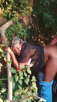 De l’érent à la baise torride dans la brousse