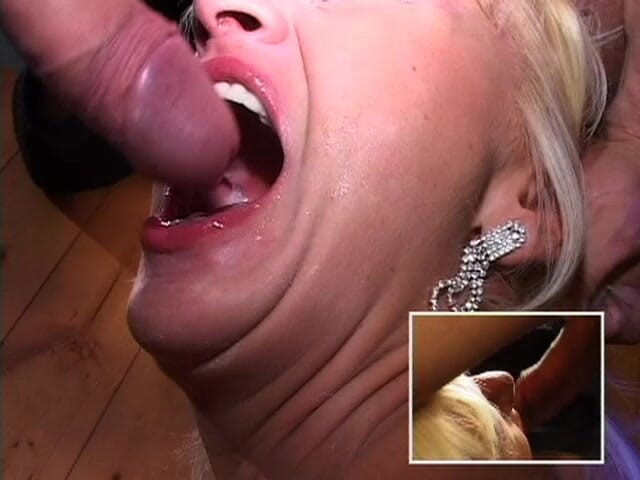 King Of Amateur: Italian Swallow