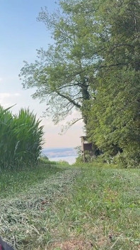 Arriesgado Bwc Público Acariciando Al Aire Libre En Meadow Con Vista Al Lago - Gran Corrida