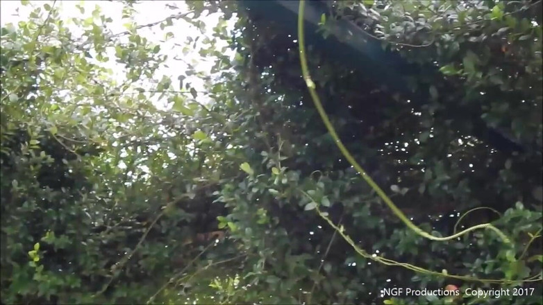 Nasty Girlfriends: Sigaraları eziyor ve 8 inçlik topuklu ayakkabılarla tıraş oluyor