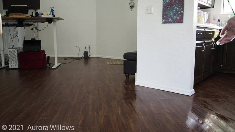 Aurora Willows: Limpando o chão nua em primeiro plano
