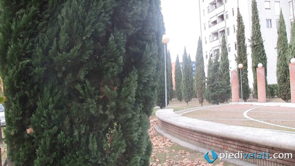 Foot Fetish HD: Krásná Christelle ukazuje nylonové nohy venku