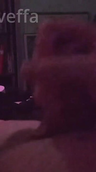 Well Since of Deleted Our Fridaynight Video We Decided to Make a Quick Latenight Video of Adams Bedtime Handjob