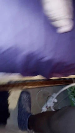 Culo serio