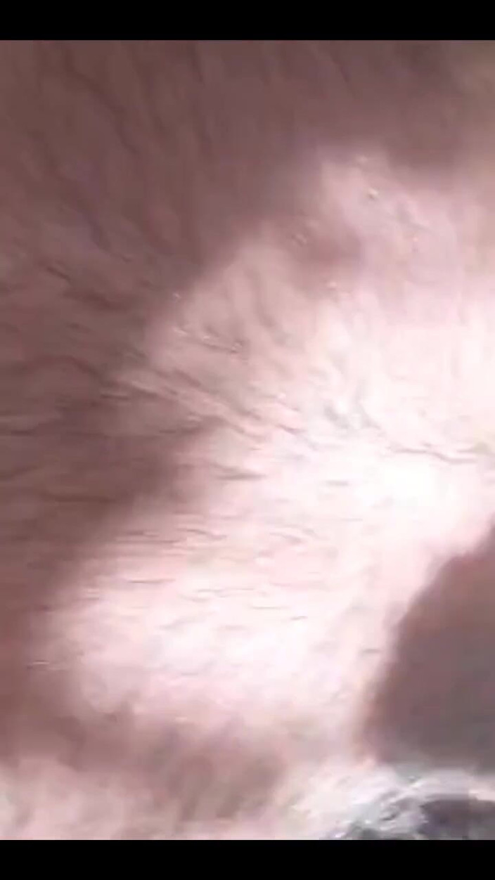 Chonkaye: Fucking Me, Out in the Wild
