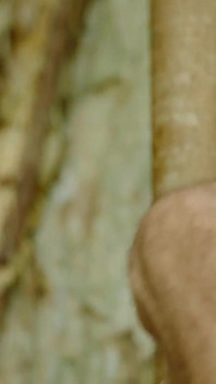 Jungle bondage