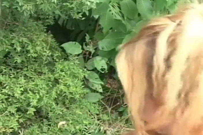 Planet Shemale: Transgender schok vol.2