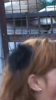 Pelacur dikongkek di jambatan berbumbung salji