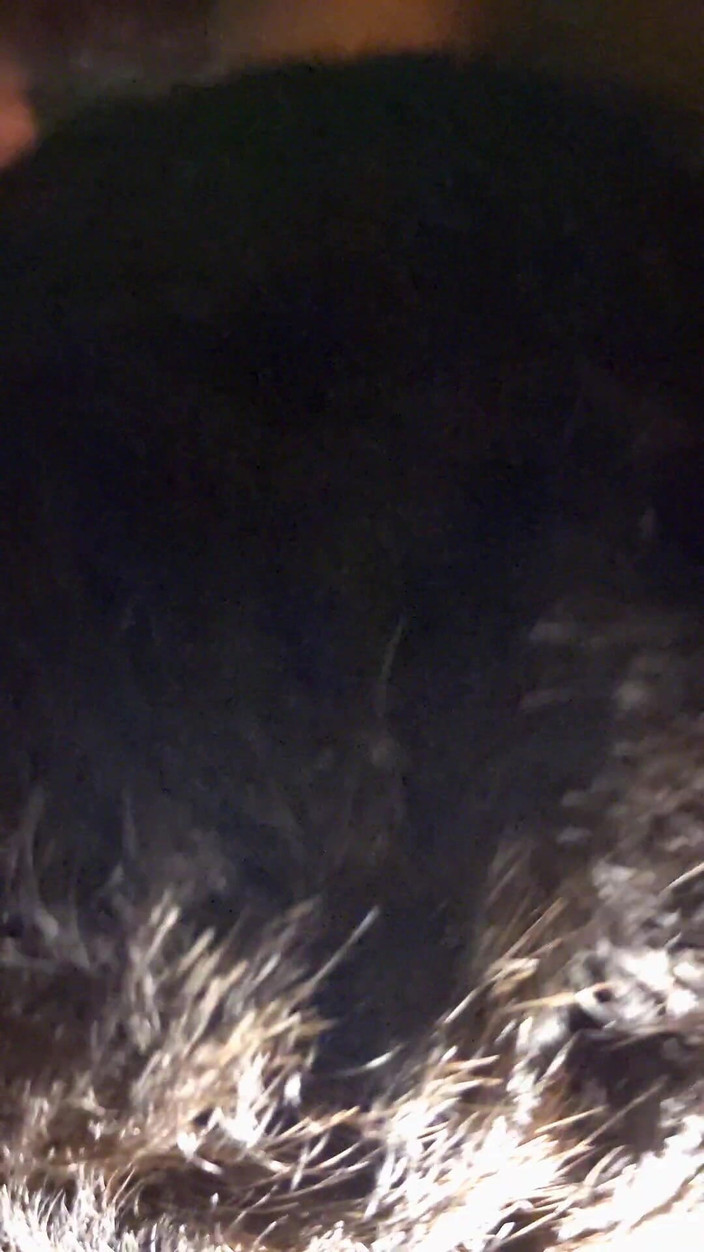 Ahpanal: Gay anal fuertes